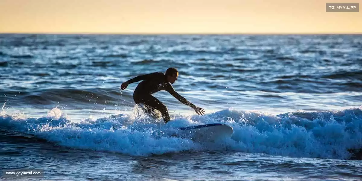 行业领先的理由